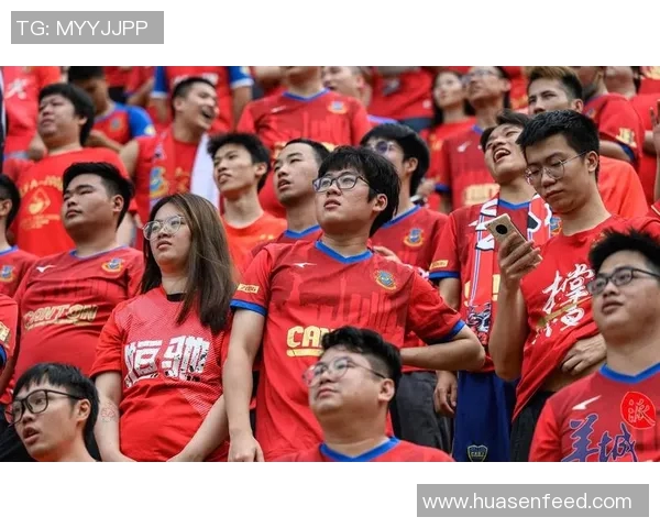 足球明星怒斥球迷引争议 谁是背后激怒球员的那位粉丝